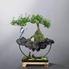 Wrought Iron Hanging Ornament Iron Chain Suspended Flower Pot Living Room Decoration Wenzhu Succulent Moss Landscaping Pot