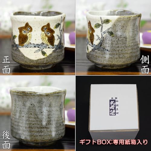 Waza no Kura Stylish Kutani Ware Teacup with Owl Design, Large, Ceramic, Brand Name, Japanese Tableware, Made in Japan, Perfect as a Birthday Gift, 60