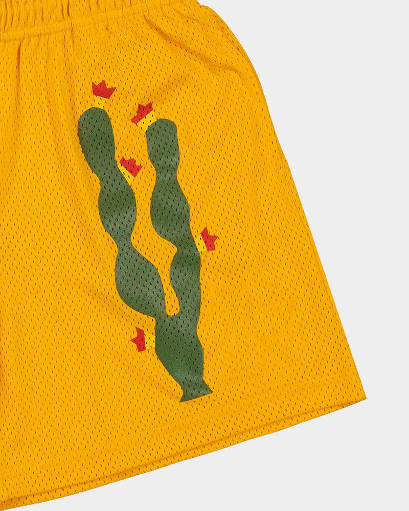 Pantaloncini da uomo in rete di cactus ad asciugatura rapida - per Corsa all'aperto e Spiaggia