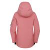 Dare 2B Womens/Ladies Ski Life Ski Jacket