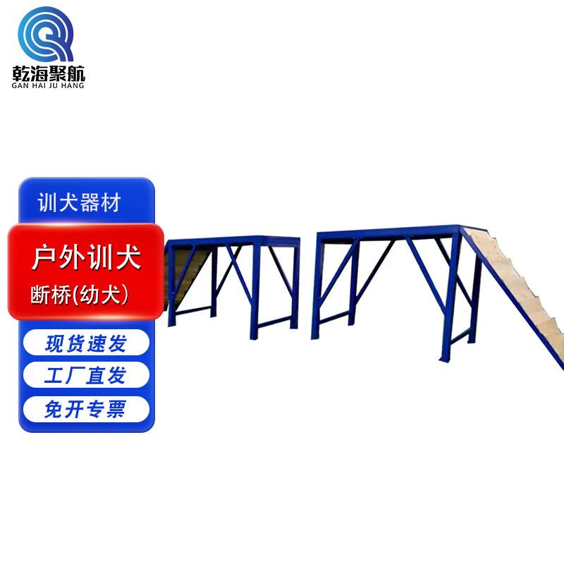 Professional Outdoor Dog Training Equipment