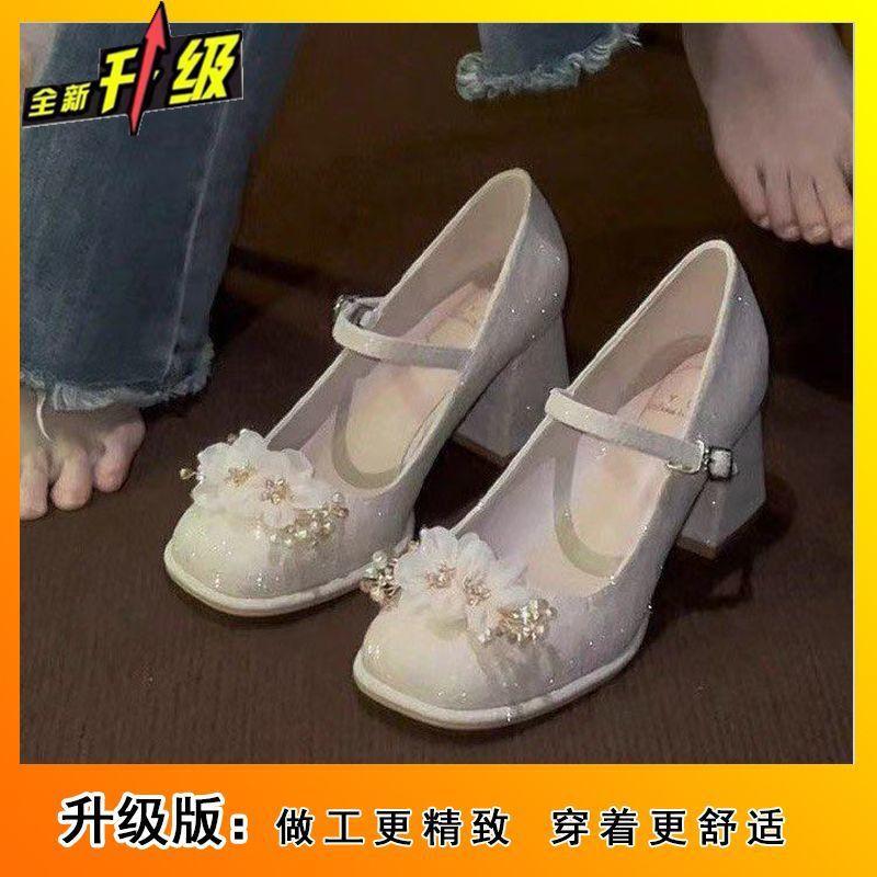 Niche princess is not tired of women's shoes 2025 spring and summer new daily versatile skirt medium heel thick heel shoes