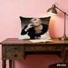 Double Sided Print Kpop Style Felix Pillow Cover Soft Cushion Case With Zipper Ideal Gift For Fans For Home Decor