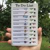 Blocnotesuri și carnete – Agende