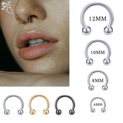ZS 1 Stück 316L Edelstahl Nasenring 14G 16G Nasenpiercings Helix Ohrpiercing Frauen Männer Septumringe Körperpiercing Schmuck