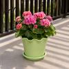 Drainage Pot with Saucer Wavy Edge Planter Saucer Thickened Flower Succulent Tray Holes Modern Plant for Indoor Outdoor Plants Round Garden Holder