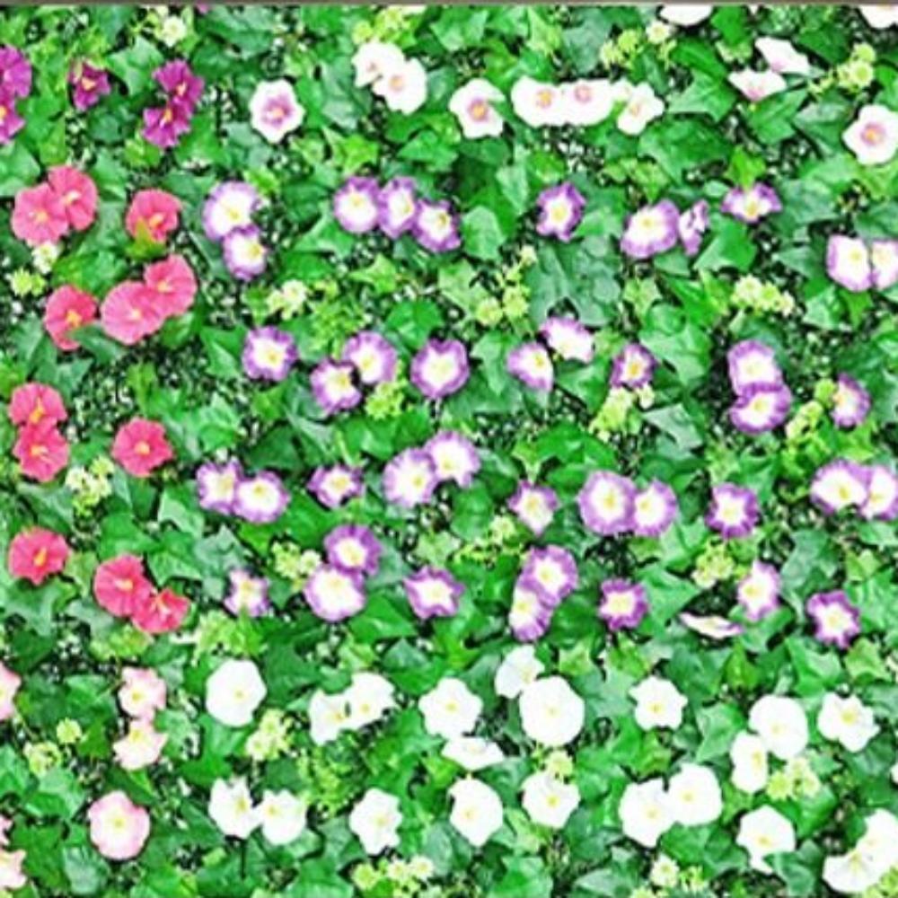 

Morning Glory Plastic Lawn Wall Panels 60x40cm Fake Lawn Carpet Wedding Decoration Style 4