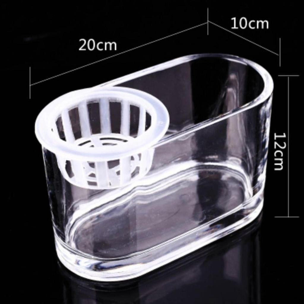 Aquaponic Tank Plant Growing System Cleaning Decoration Flower Arrangement Container Garden for