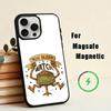 TrendyFilm Project HaiM-Mary PillowPhone Case For iPhone 17,16,15,14,13,12,Plus,Pro,Max for Magsafe Magnetic Wireless Charging