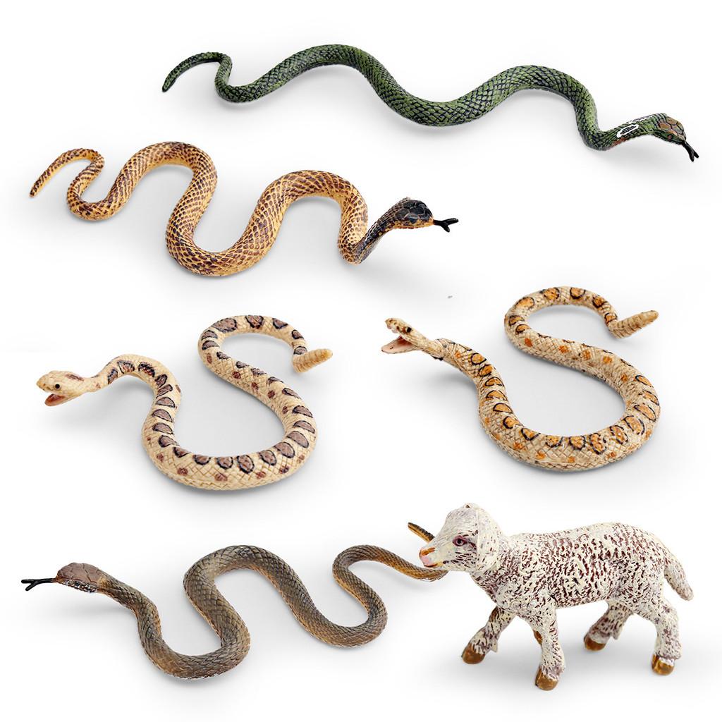 Pvc Reptile Models Wild Animal Decor For Kids Learning And Home Display