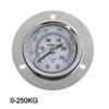 For DIY Tasks 50mm Dial Diameter 250KG Pressure Meter Automotive Pressure Gauge Advanced Sensing Technology Easy To Read Gauges
