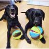 PLATZ PET SUPPLIES FUN Dog Toy Circus Ball M Size &