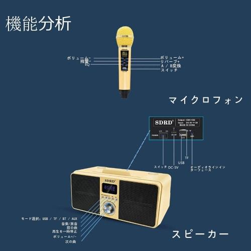 Karaoke Microphone, Karaoke Machine with Bluetooth and Wireless Microphone, Professional Karaoke Singing Machine for Home KTV, with Two Handheld Micro