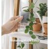 3/15PCS Self Watering Plant Pots, Translucent Plastic Planters with Drainage Holes, Mini Nursery Pots for Flower Seedlings & Indoor Gardening
