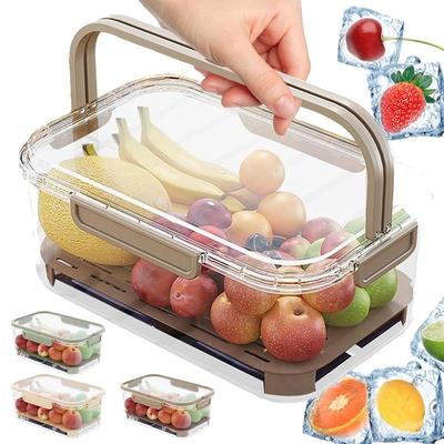 1pc Storage Container, Portable And Leak Proof Fresh-keeping Box , Handheld Refrigerated Storage Box, For Fruit, Vegetable, Meat, And Beverage