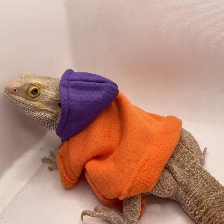 Bearded Dragon Warm Coat Soft Touching Hoodies for Reptiles Geckos Amphibians