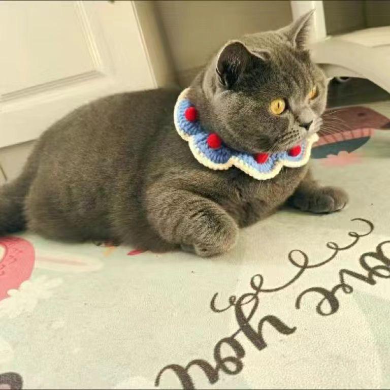 Knitted Christmas Snood & Scarf for Pets: Cat & Small Dog Collar Accessories, Crochet Photo Props
