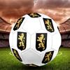 Belgium National Football Logo Size 5 Soccer Ball, Machine-Stitched PVC, Durable & High Bounce, All Ages Fit, Fan Merchandise, Matches & Outdoor Use.