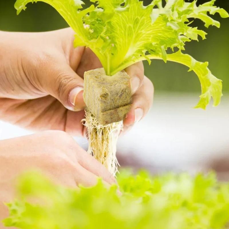 Seedling Grow Plug Sponge Block Starter Rock Wool Planting Grow Cubes Hydroponics Cuttings Garden Plant Propagation Grow Supply