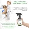 RepellShield Spray Anti Souris Naturel - pour Intérieur et Extérieur, 250 ml