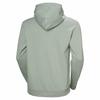 Helly Hansen Core Graphic Hoodie