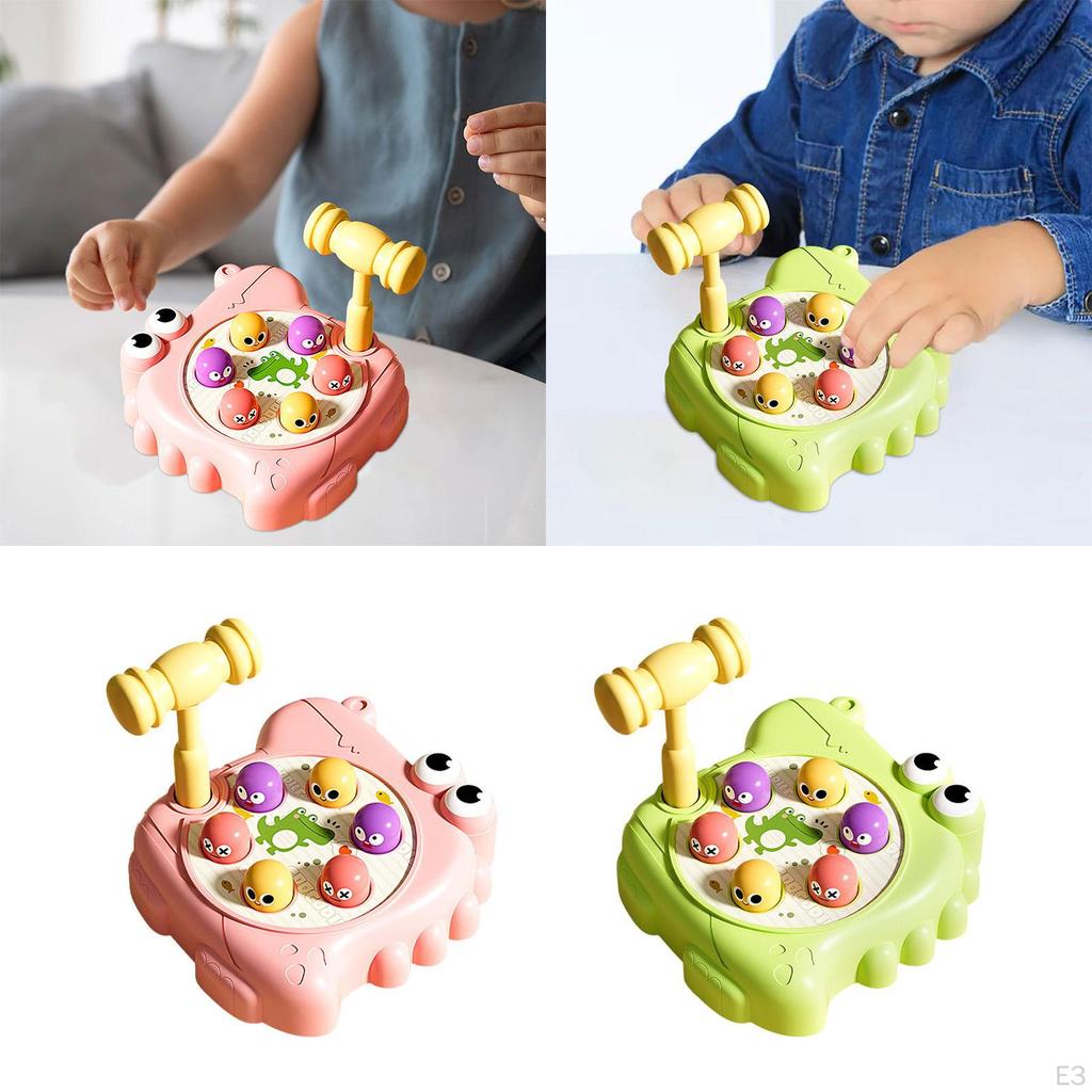Hamster, Educational Toys, Fine Workmanship, Hit Hamsters