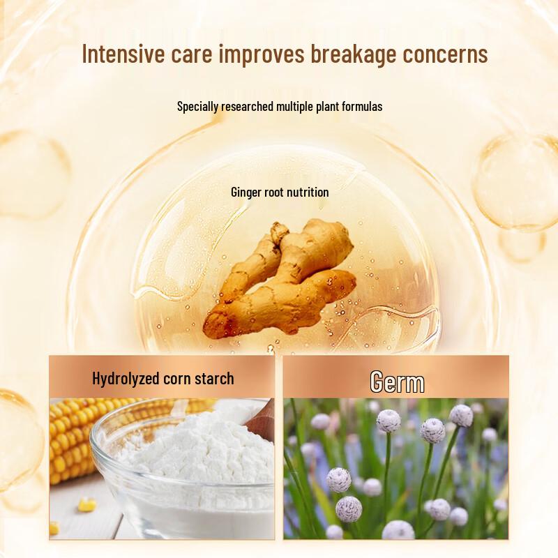 Seeyoung Ginger Anti-Breakage Conditioner