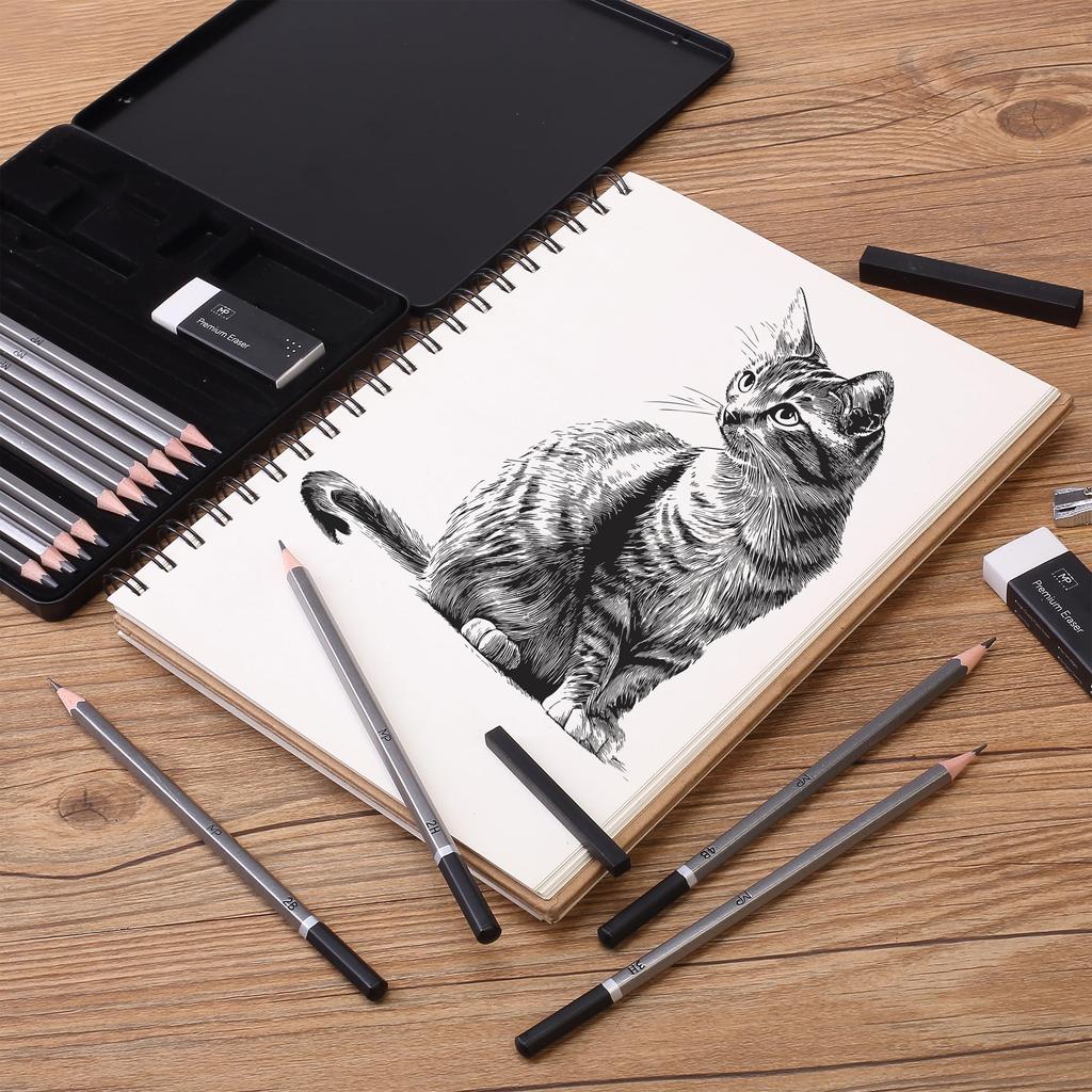 Pen 19 Drawing and Sketching Pencils with Graphite and Art Pencils for Mr. - Sticks, Eraser, Sharpener. Sketching.