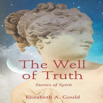The Well of Truth by Elizabeth A. Gould Paperback Book 9781684631391