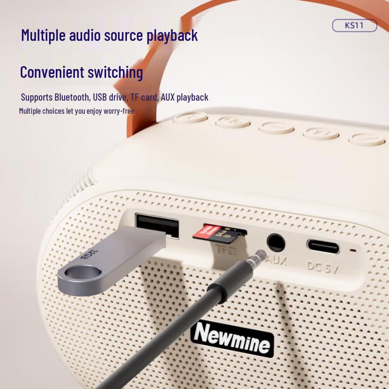 Newmine KS11 Portable Karaoke Bluetooth Speaker with Microphone CN plug (adapter included)