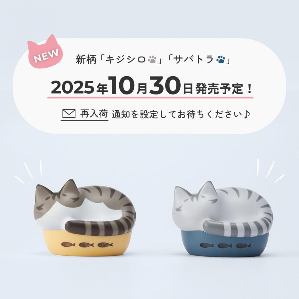 Radius Neko True Wireless Earphones Lightweight Compact Hp C28bt