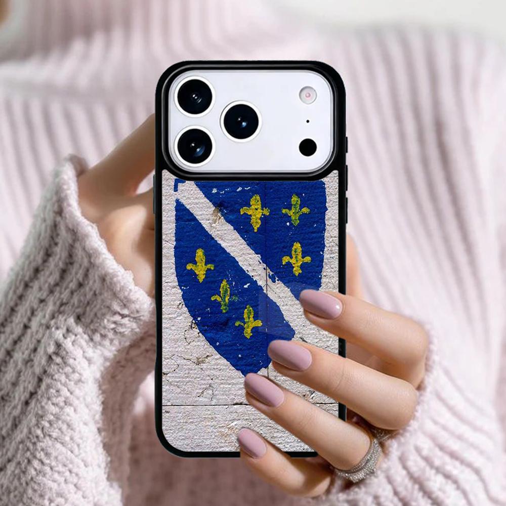 flag of bosnia and herzegovina Phone Case For Apple iPhone 17 Air 16E 15 14 Plus 13 12 11 Pro Max Mini Funda Cover