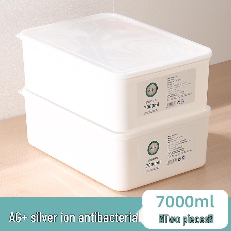 Large Capacity Fresh-Keeping Storage Box for Steamed Buns and Dumplings