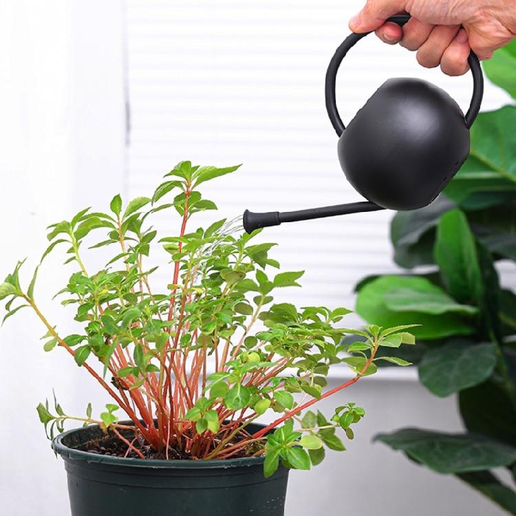 Watering Can Small Watering Can for Indoor Plant Stainless Steel Indoor Watering Can with Long Spout 35oz/400ml