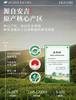 2026 New Tea Mingqiantou Premium Anji White Tea Green Tea Leaf Gift Box 250g Holiday Gift
