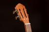 ORTEGA Ukulele CUSTOM BUILT Series All Mahogany Solid Concert ECLIPSE-CC4 [ ]