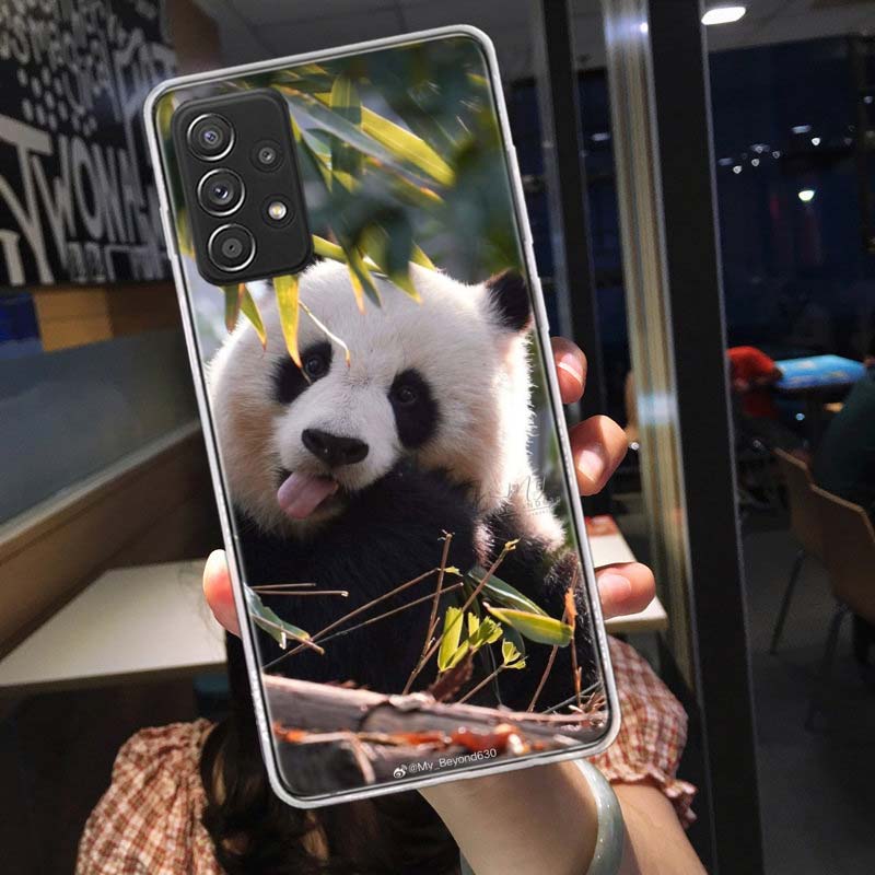 Panda Baby, Giant Panda Family Phone Case for Samsung A54 A57 A37 A17 A14 A15 A12 A24 A34 A55 A35 A25 A52S A07 A05S A04S A22 A32