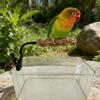Adjustable Bird Training Perch With Easy Mounting Clip On Design for Cage Table Bird Standing Perch Cage Accessories
