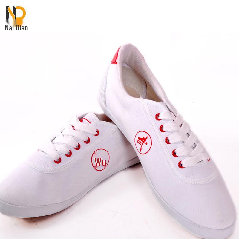 Naidian Unisex Canvas Martial Arts & Tai Chi Shoes