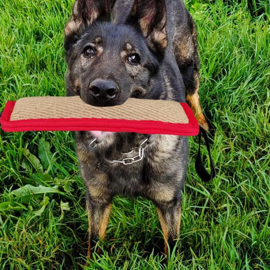 Dog Bite Stick Easy To Grip Interactive Bite Resistant Dog Training Bite Pillow Toy