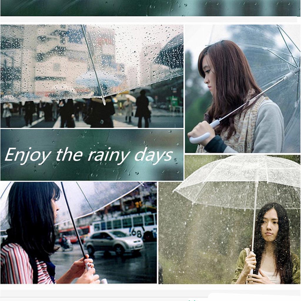 Folding Umbrella Automatic Open Close Compact Windproof Rain Transparent Clear