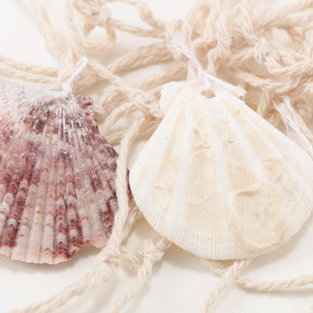 Ornaments Sea Shell Starfish Shell Nets Home Wall Decor Mediterranean Style Decorative Fishing Net