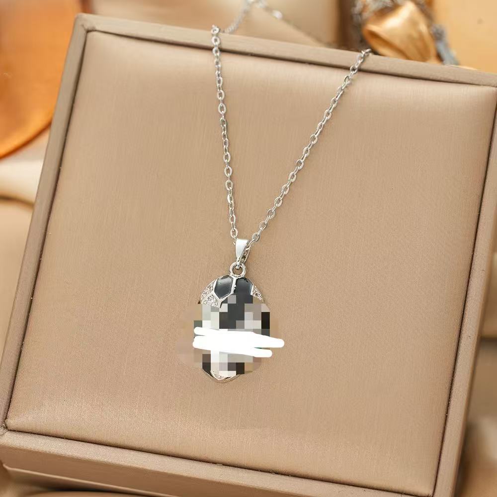 Japan and South Korea Simple Popular Wind Titanium Steel Necklace Female Niche Exquisite Internet Celebrity Zircon Clavicle Chain High-end Jewelry