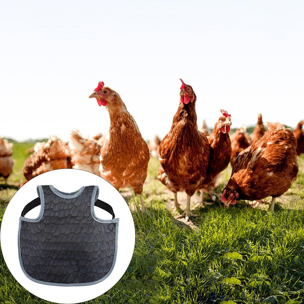 Pack of 2 Waterproof Poultry Garments Durable Cloth for Hens External Defense and Convenience