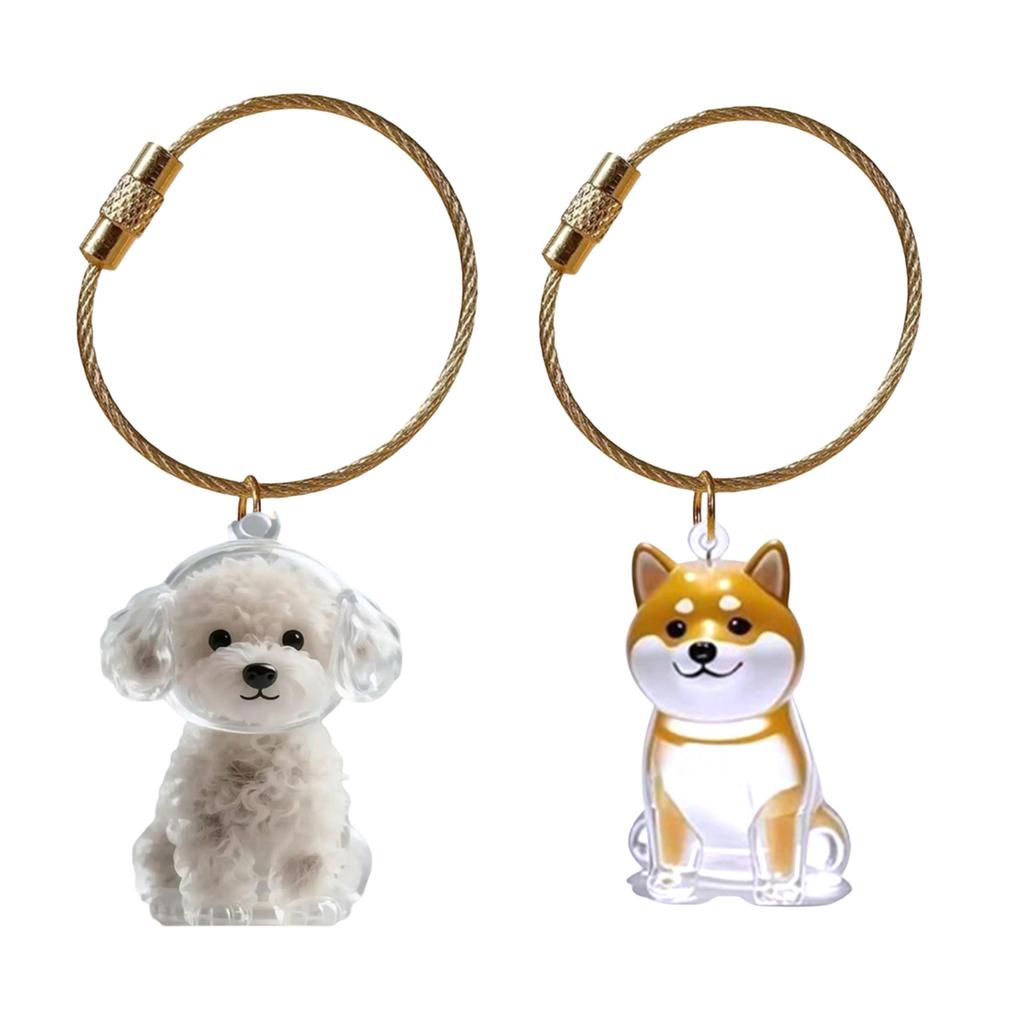 Pet Hair Collector Keepsakes Keychain Box For Dog Cats And Small Animals Furs Storage Container With Easy To Open Design