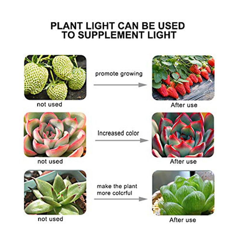 LED Grow Light Bulb E27 220V Full Spectrum 200/300LED Plant Lamp for Indoor Garden Seedling Greenhouse Hydroponics Grow Tent