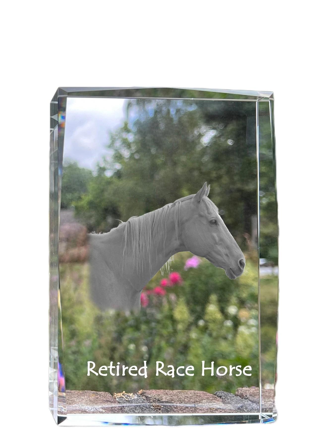 

Retired Race Horse - crystal with a picture of a horse, photo in glass, modern exhibition of Art-Dog brand photo прозорий