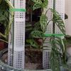2/1Pcs Plastic Moss Pole For Monstera Stackable & Refillable Moss Poles For Climbing Plants Self Watering Plant Cages Supports