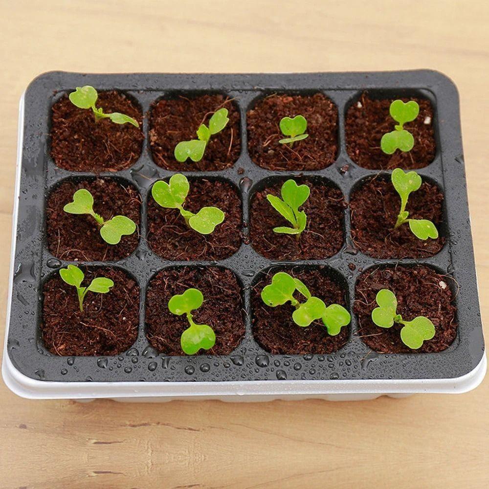 With Cover 12 Cells Seedling Trays White Square Portable Nursery Box Set Breathable Germination Box Greenhouse