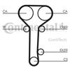 CONTITECH TIMING BELT FORD 2.0 16V